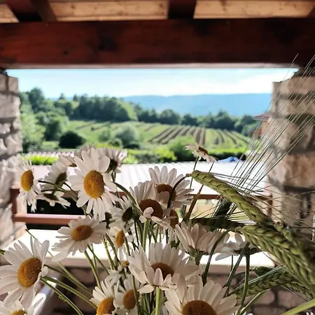 Guesthouse Marija Potpican Exterior photo